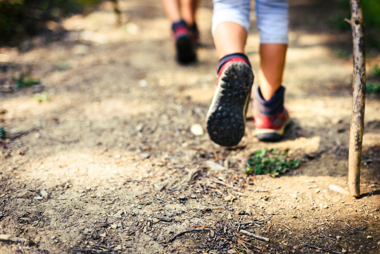 Children hiking in mountains or forest with sport hiking shoes.